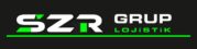 logo dene